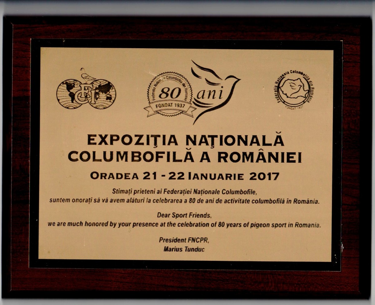 Inscriptii mari